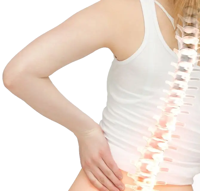 Illustration highlighting the lower back and spine, representing the back pain concerns evaluated at Thomas Chiropractic in Stephenville, TX